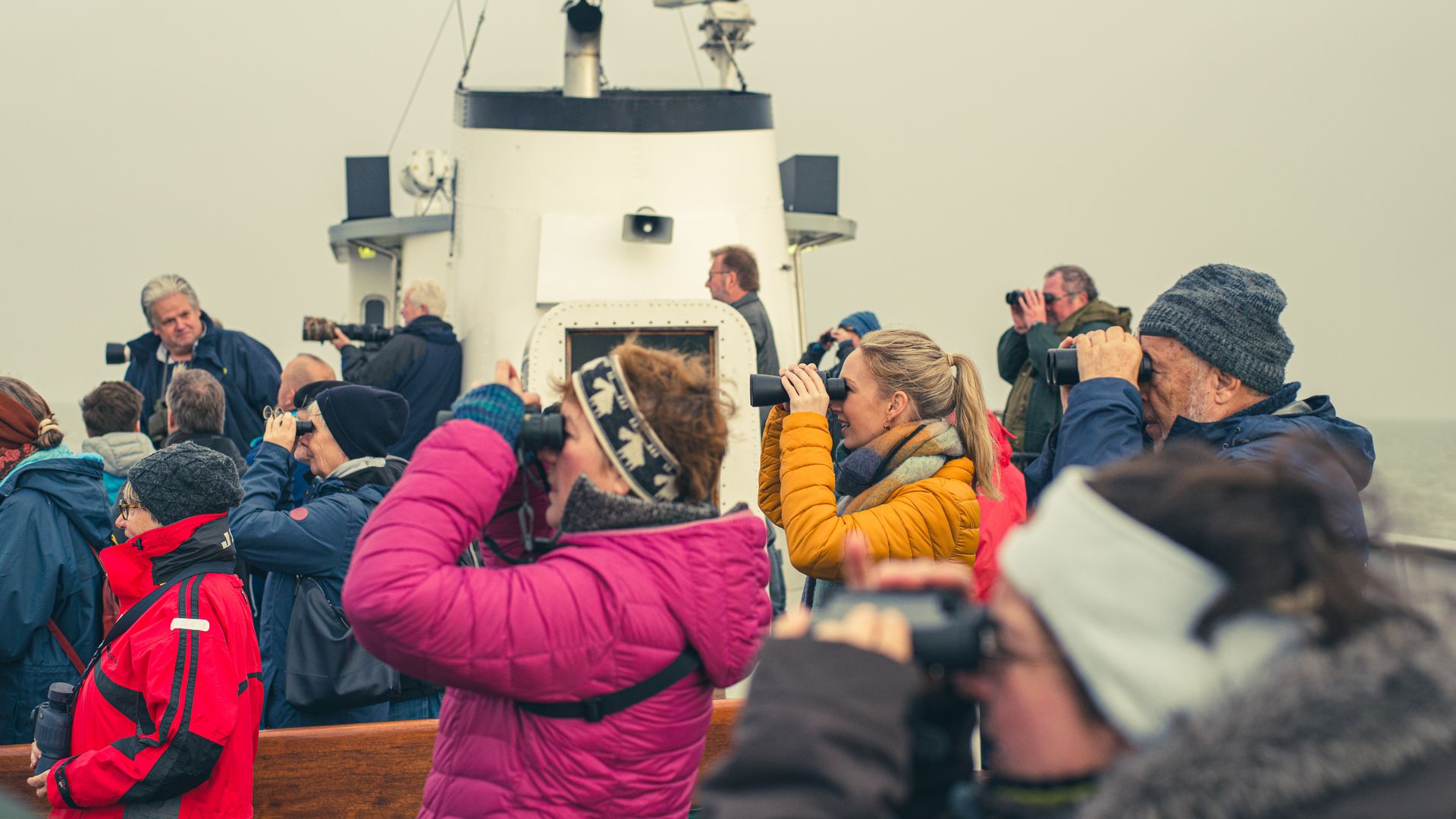 Bootstour zur Beobachtung von Zugvögeln und Wildgänsen 