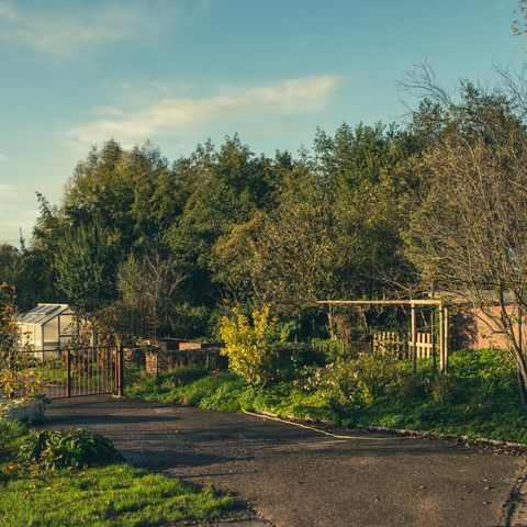 Garten im nachhaltigen Hotel NAKUK