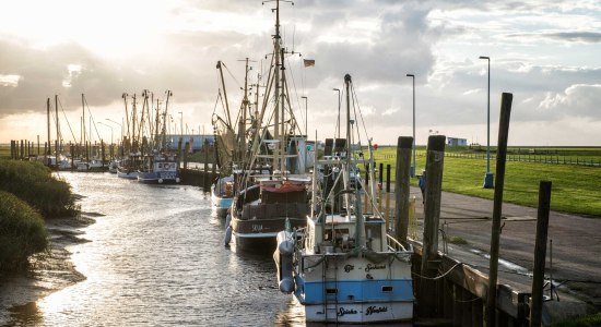 Kutterhafen Spieka-Neufeld, © Cuxland-Tourismus / Florian Trykowski