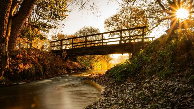 Brücke im Herbstwald, © TouROW/Björn Wengler