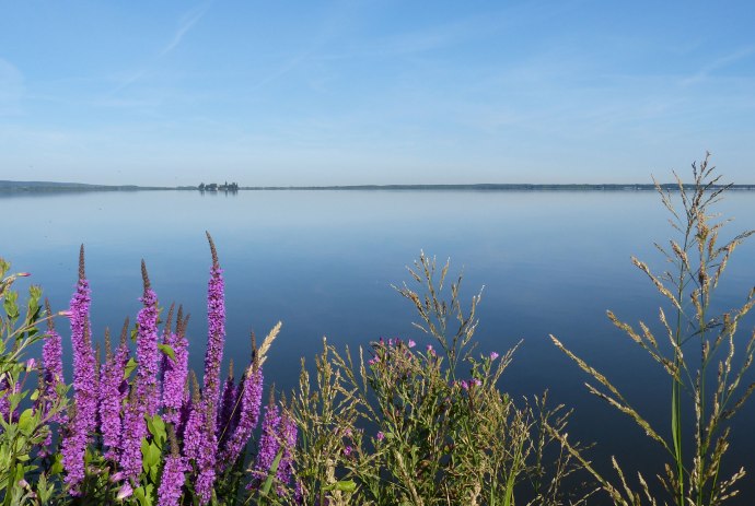 Blick aufs Steinhuder Meer, © Steinhuder Meer Tourismus GmbH / Christine Kölling