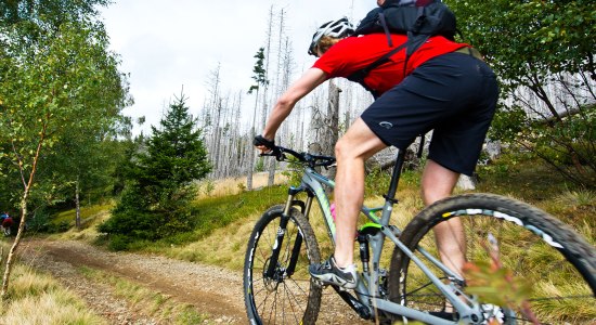 Mountainbiker fährt auf einem Schotterweg, © TMN/Maruba b.V. Sports Publishers