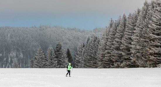 Langläufer fährt durch die Harzer Winterlandschaft, © Markus Tiemann