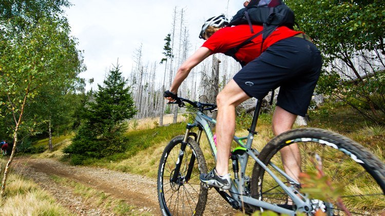 Mountainbiker fährt auf einem Schotterweg, © TMN/Maruba b.V. Sports Publishers