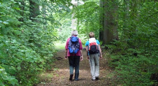 Wanderer im Kuhmühler Wald, © Touristikverband Landkreis Rotenburg (Wümme)  e.V. / Udo Fischer und Petra Welz