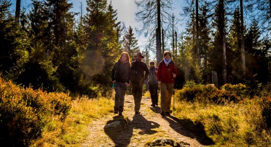 Mit dem Nationalpark-Ranger unterwegs, © Nationalpark Harz / dietrichkuehne.com