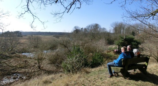 Zwei Wanderer genießen die Aussicht auf den Oste-Altarm, © Touristikverband Landkreis Rotenburg (Wümme)  e.V. / Udo Fischer