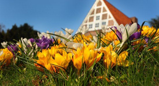 Frühling in Stade, © STADE Tourismus GmbH/ Martin Elsen