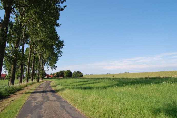 Am Emsdeich zwischen Weener und Leer, © Ostfriesland Tourismus GmbH