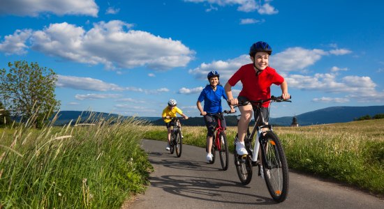 Fahrradtour mit der Familie, © Fotolia / Jacek Chabraszewski