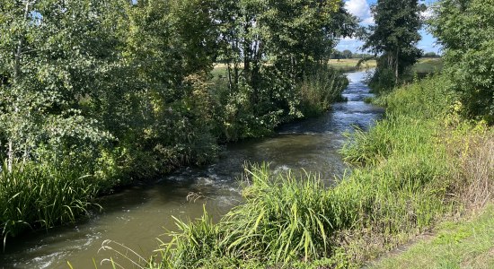 Fischtreppe am Hespos Wehr, © DümmerWeserLand Touristik