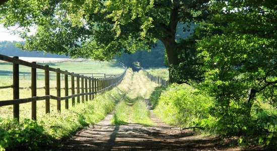 Weg im Bexaddetal, © Stadt Damme / Markus Krutkamp