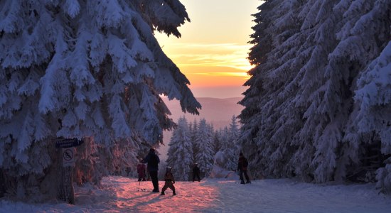 Skiregion bei Hahnenklee im Winter, © HAHNENKLEE tourismus marketing gmbh