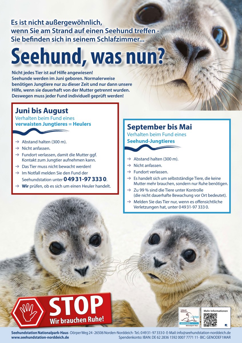 Richtiges Verhalten bei Seehundfund., © Seehundstation Nationalpark-Haus