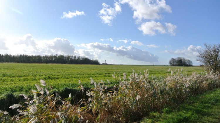 An der Knock in Uplewa, © Ostfriesland Tourismus GmbH / www.ostfriesland.de