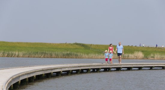 Familie auf dem Bohlenweg, © Tourismus-Service Butjadingen GmbH & Co. KG/Thomas Hellmann