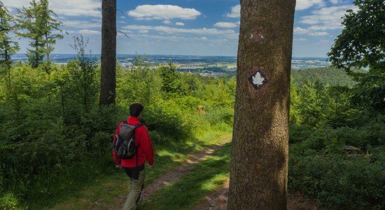 Mittelgebirgswanderung auf dem Ahornweg im Natur- und Geopark TERRA.vita, © Natur- und Geopark TERRA.vita