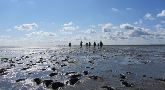 Eine Gruppe unternimmt eine Wattwanderung auf Langeoog, © Naturerlebnis Langeoog / Joke Pouliart