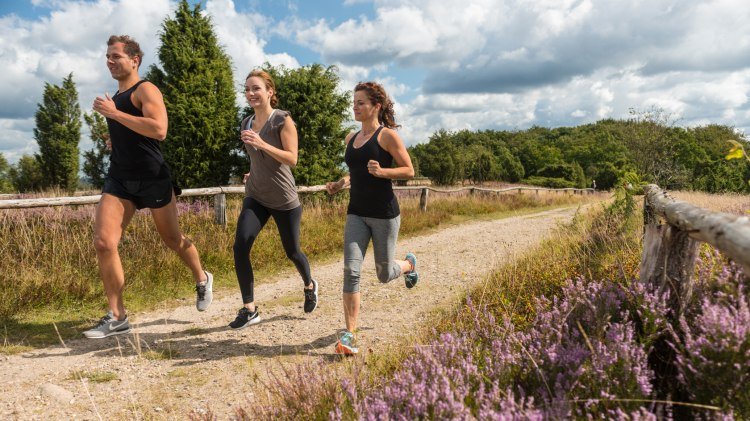 Drei Jogger laufen durch die blühende Lüneburger Heide, © Lüneburger Heide GmbH / Dominik Ketz