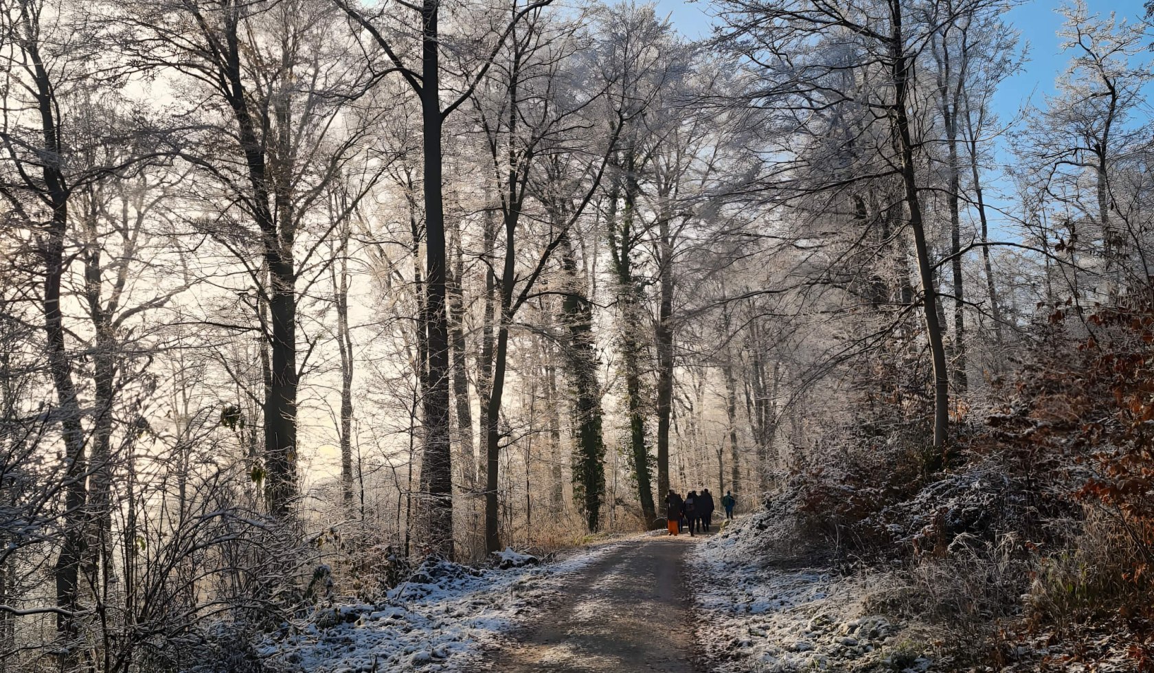 SAVE THE DATE - Glühwein-Wanderung 2025, © Catharina Schütze