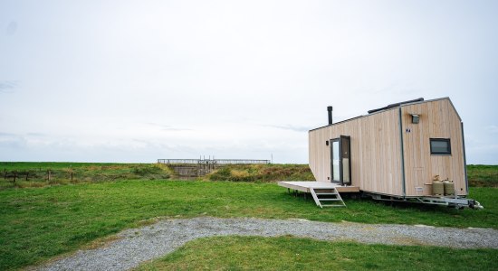 Tiny House bei Harlesiel, © TourismusMarketing Niedersachsen GmbH