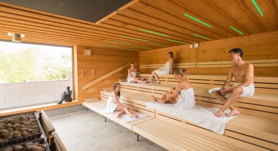 Fünf Gäste in der Sauna beim Unterhalten, © Lüneburger Heide GmbH / Dominik Ketz