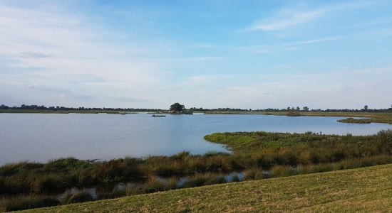 Polder Holter Hammrich, © Gemeinde Rheuderfehn