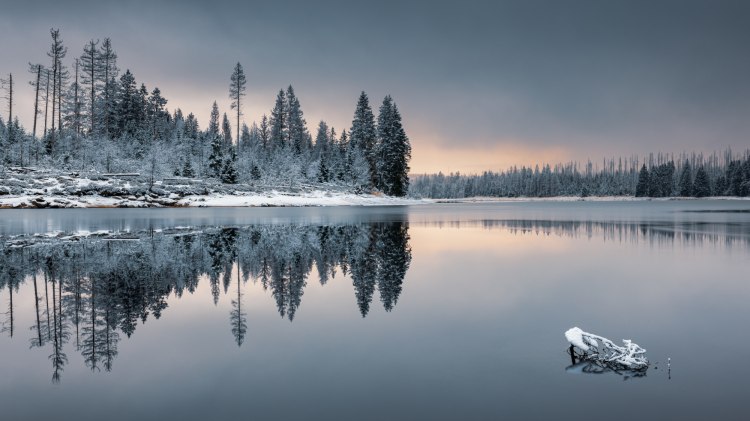 Blick auf einen See im Winter im Harz, © TMN / Markus Tiemann