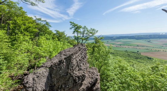 Ausblick vom Ith Hils Weg im nördlichen Ith, © Tourismuszentrale östliches Weserbergland