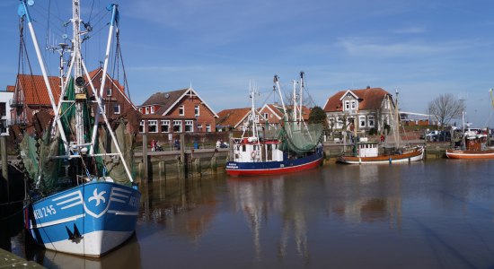 Krabbenkutter Seestern im Hafen von Neuharlingersiel, © Kurverein Neuharlingersiel e.V. / Kai Romeike