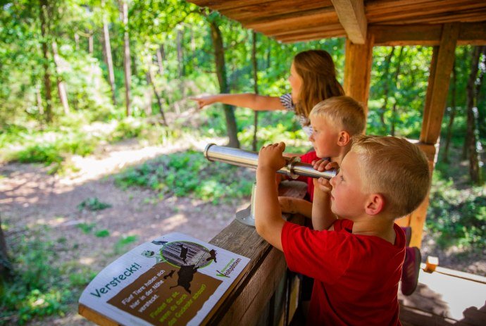 Kinder auf dem Hochsitz, © Samtgemeinde Freren/ MedienAtelier Emsland