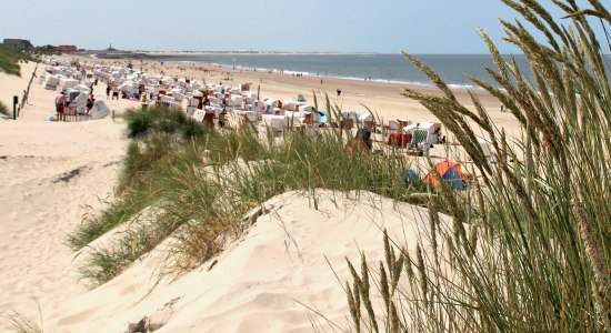 Dünen und Strand auf der Insel Baltrum, © Kurverwaltung Baltrum / Denis Metz