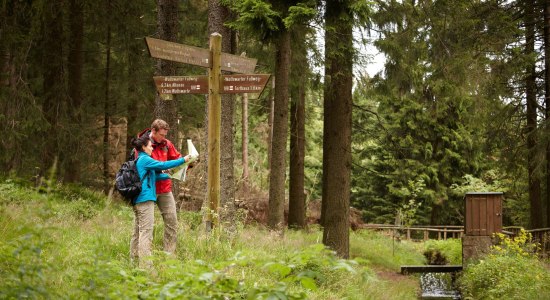 Wandererpaar liest Karte an Wegweiser, © Harzer Tourismusverband / M.  Gloger
