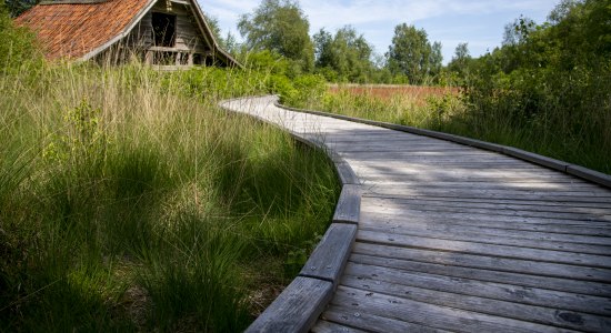 Emsland Moormuseum bei Groß Hesepe, © TMN / Sabine Braun