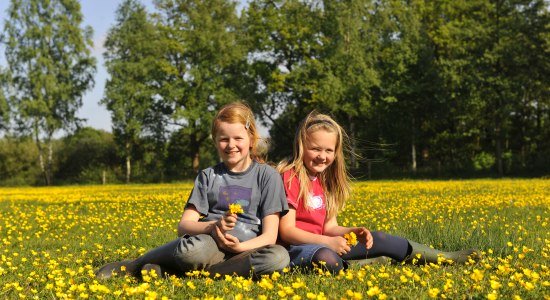 Kinder auf der Blumenwiese, © Ferienhof Garbert