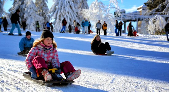 Winterrodelbahn, © Erlebnisbocksberg / André Gleisberg