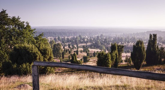 Blick vom Wilseder Berg, © Lüneburger Heide GmbH/ Markus Tiemann