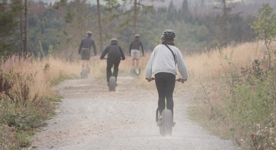 Gruppe fährt mit Monsterrollern den Wurmberg hinunter. , © TMN! | Joline Müller