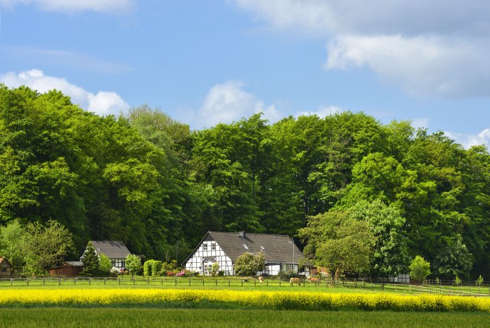 Fachwerkhof, © Dieter Schinner