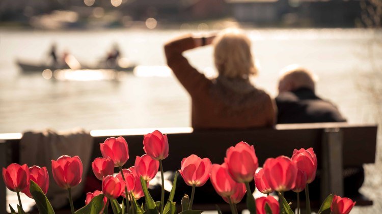 Kiessee in Göttingen im Frühling, © Lars Gerhardts