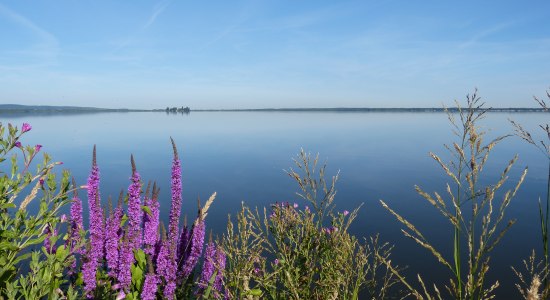 Blick auf das Steinhuder Meer, © Steinhuder Meer Tourismus GmbH / Christine Kölling