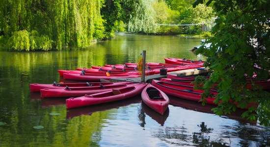 Kanus, die am Steg liegen, © TourismusMarketing Niedersachsen GmbH/ Andrea Lammert