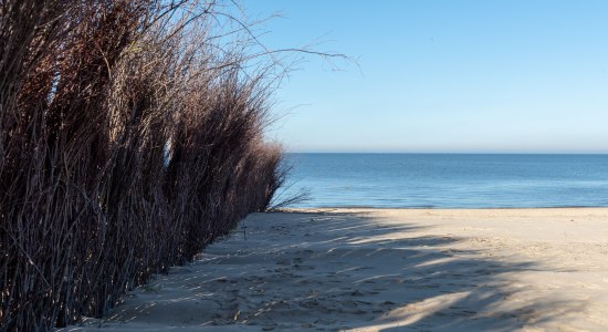 Cuxhaven Strand mit Schilf am Meer, © Alexander Kassner/ Alex K. Media