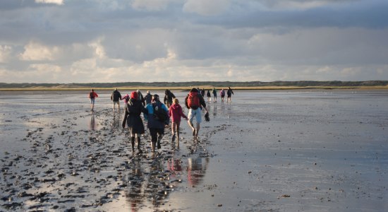 Wattwandernde Gruppe auf Langeoog, © Wattwanderzentrum Ostfriesland / Joke Pouliart