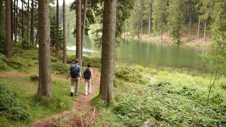 Pärchen wandert im Wald auf einen See zu, © Harzer Tourismusverband / Marcus Gloger