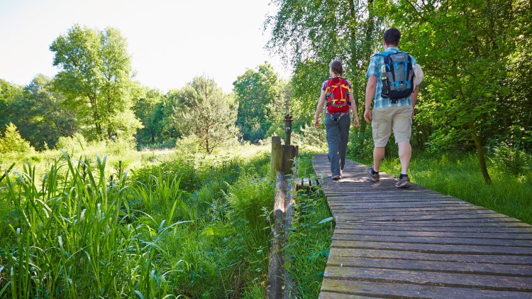 Wandern in der Grafschaft Bentheim, © Grafschaft Bentheim / Schubert