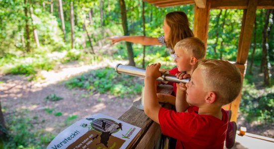 Kinder auf dem Hochsitz, © Samtgemeinde Freren/ MedienAtelier Emsland