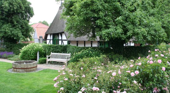 Das Niedersächsische Spargelmuseum hinter rosa Rosen., © Mittelweser-Touristik GmbH