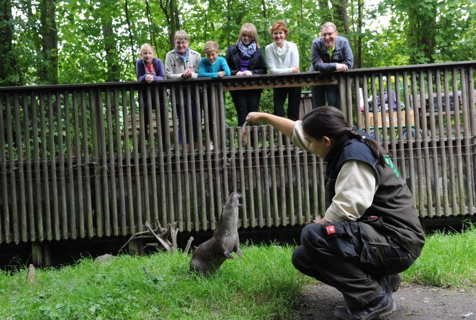 Otter Zentrum Hankensbüttel, © Südheide Gifhorn GmbH