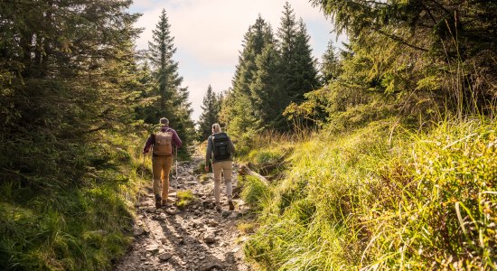 Paar wandert im Harz, © TMN / Markus Tiemann